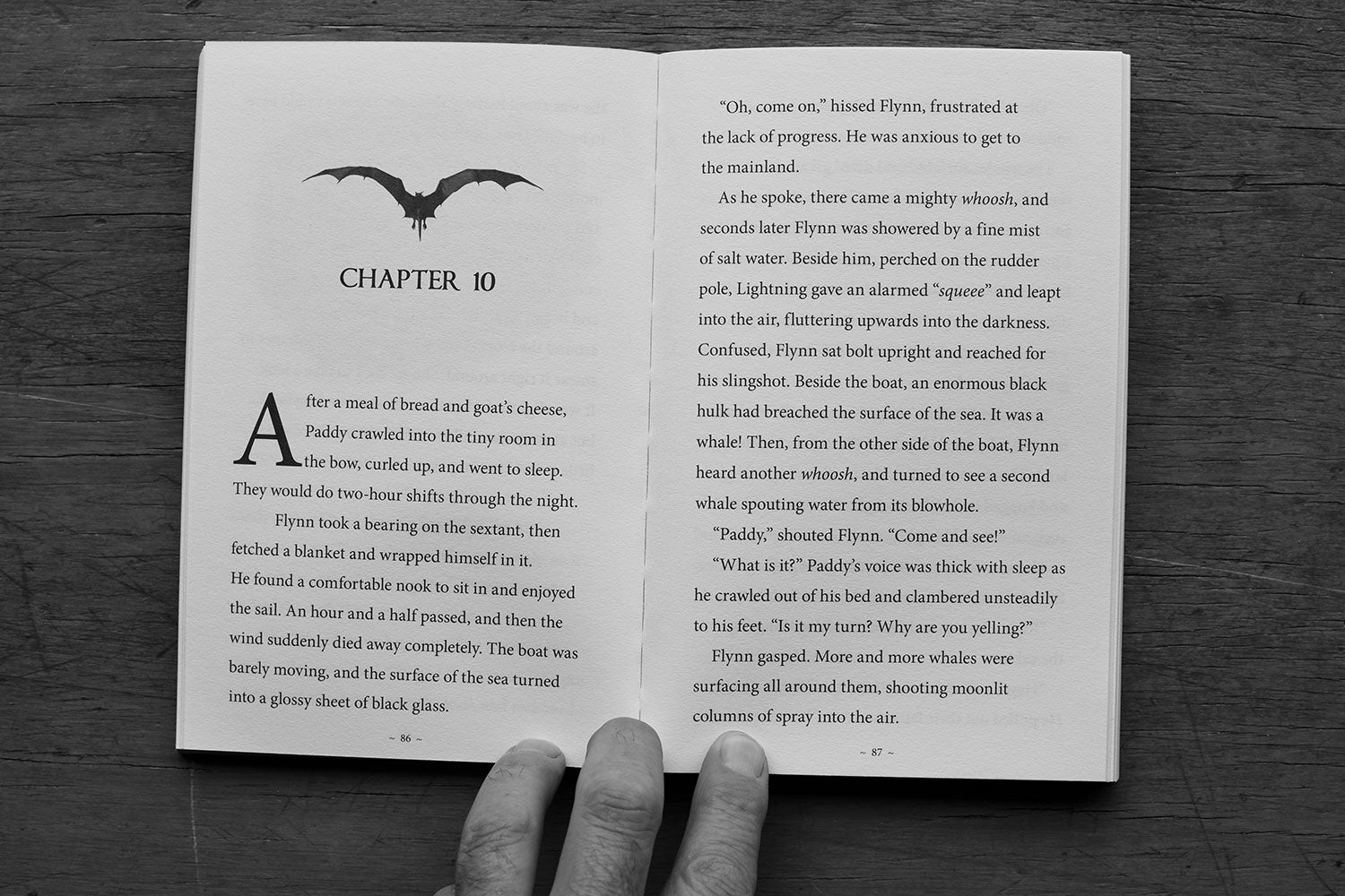 The Dragon Defenders – Book 3: An Unfamiliar Place