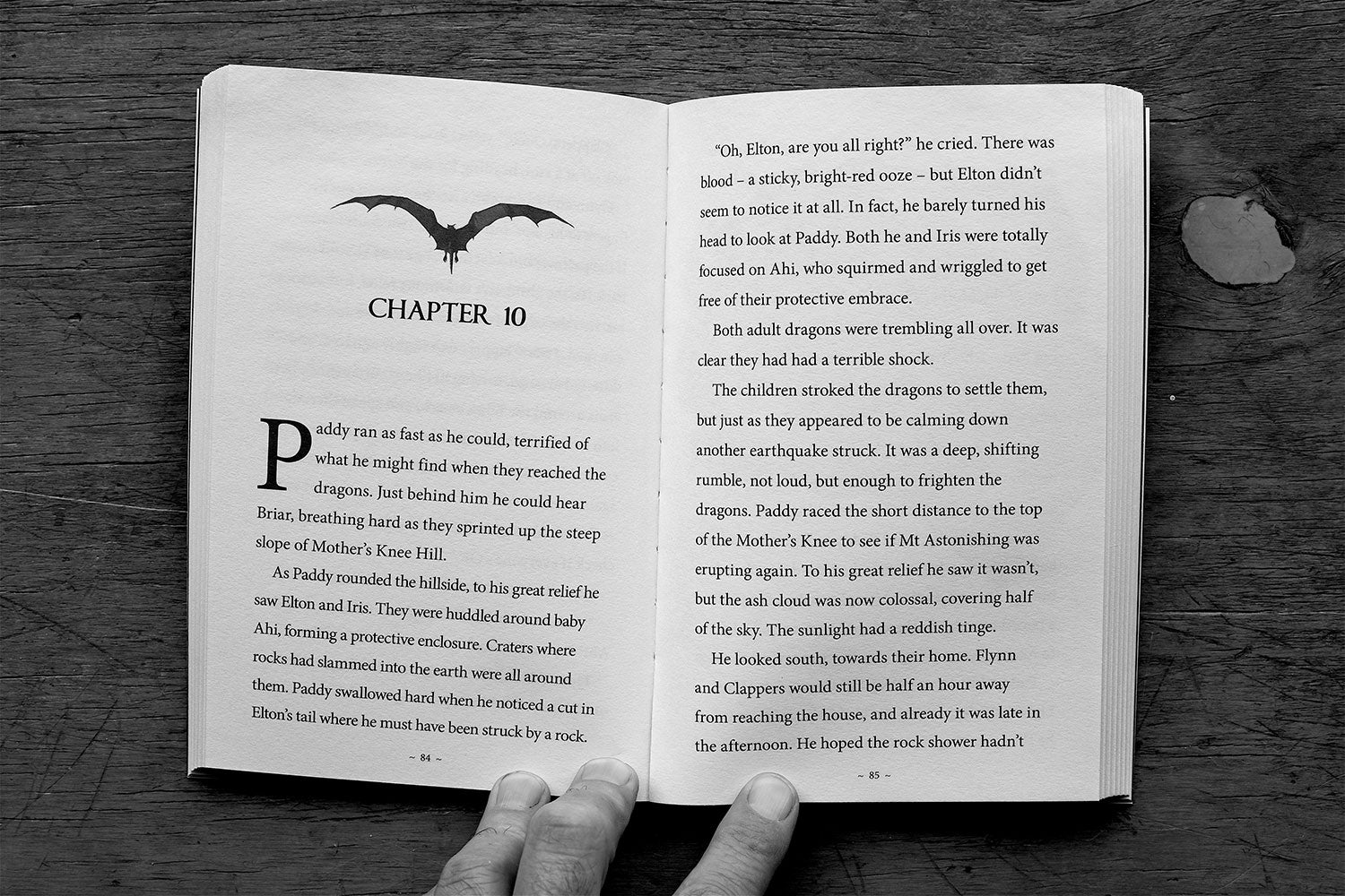 The Dragon Defenders – Book 4: All is Lost