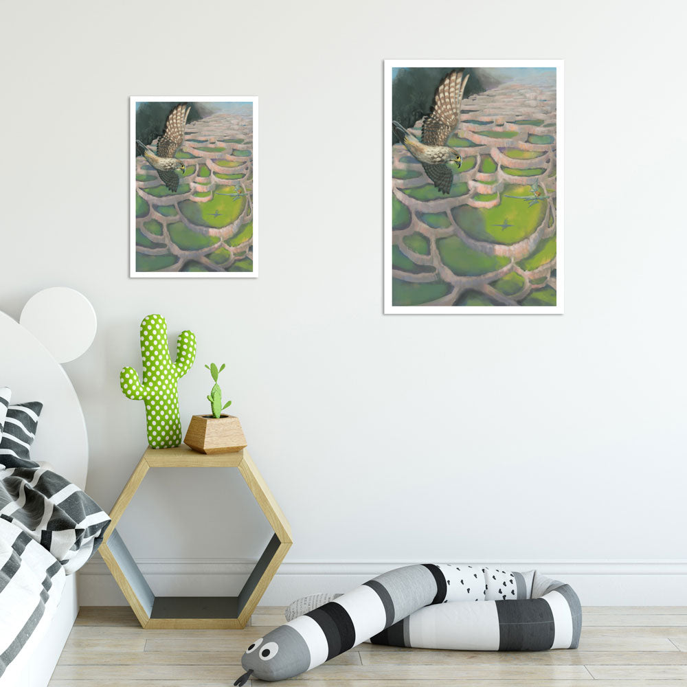 Dragon Brothers Bundle